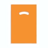 SACOLA-SEGPLAST-VAZADA-20X30-LARAN-10UN