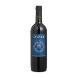 VH-SALTON-750ML-CANONICO