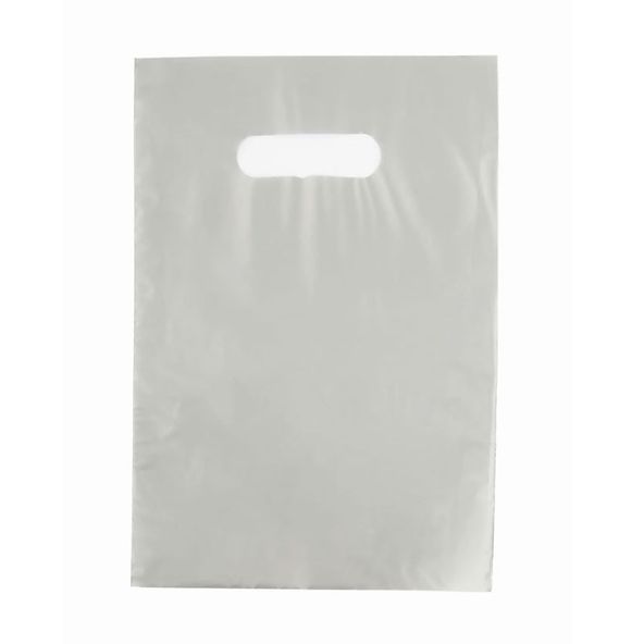 SACOLA-SEGPLAST-VAZADA-20X30-BCA-10UN