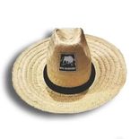 CHAPEU-FESTBRAS-ANA-RAIO-1UN