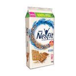 BISC-NESFIT-INTEGRAL-6X21G