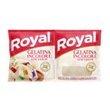 GELATINA-ROYAL-SEM-SABOR-INCOLOR-24G