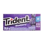TRIDENT-BLUEBERRY-18S