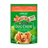 RACAO-DOG-CHOW-AD-MINI-PQ-SALMAO-100G