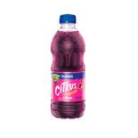 SUCO-CITRUS-330ML-UVA-GF-PET