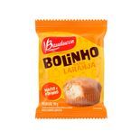 BOLINHO-BAUDUCCO-30G-LARANJA