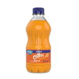 SUCO-CITRUS-INDAIA-LARANJA-PET-450ML