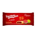 LANCHINHO-POPULAR-25G-GOIABINHA