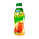 LEITE-FERM-BONA-FIBRA-MOR-900G-GF