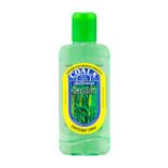 LIMP-PERF-CONC-COALA-120ML-BAMBU