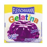 GELATINA-PO-FLEISCHMANN-20G-UVA