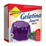 GELATINA-LOWCUCAR-AMORA-10G