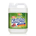 DESINF-KALIPTO-EUCALIPTO--5L