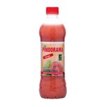 SUCO-PINDORAMA-500ML-GOIABA-