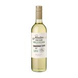 VH-ARG-THE-GRILL-MASTER-BCO-750ML
