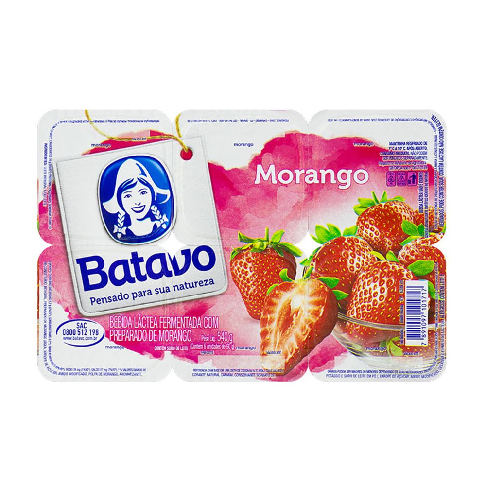 BEB-LAC-FERM-POLPA-BATAVO-MOR-MOR-540G