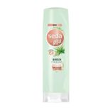 COND-SEDA-325ML-BABOSA-OLEOS