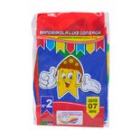 bandeiras-n2