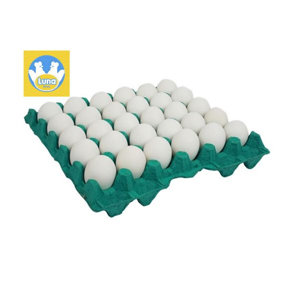 9061