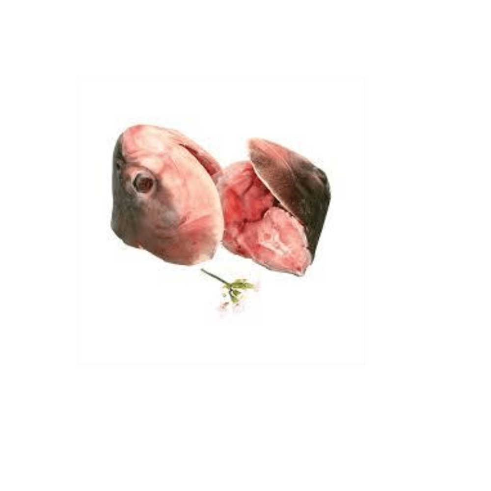 Cabeca-Para-Peixada----Aprox.-1kg
