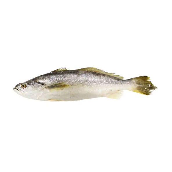 63359