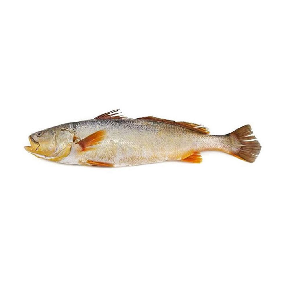 53095