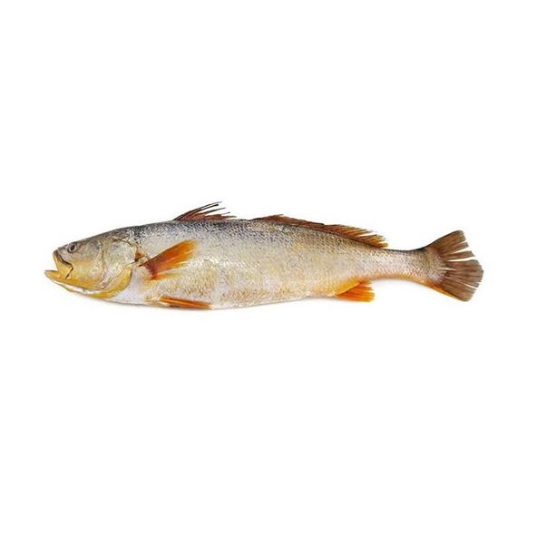53095