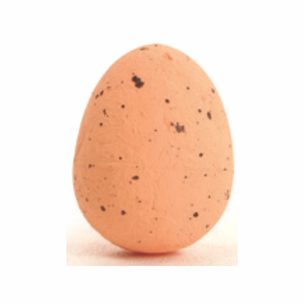 69196.png
