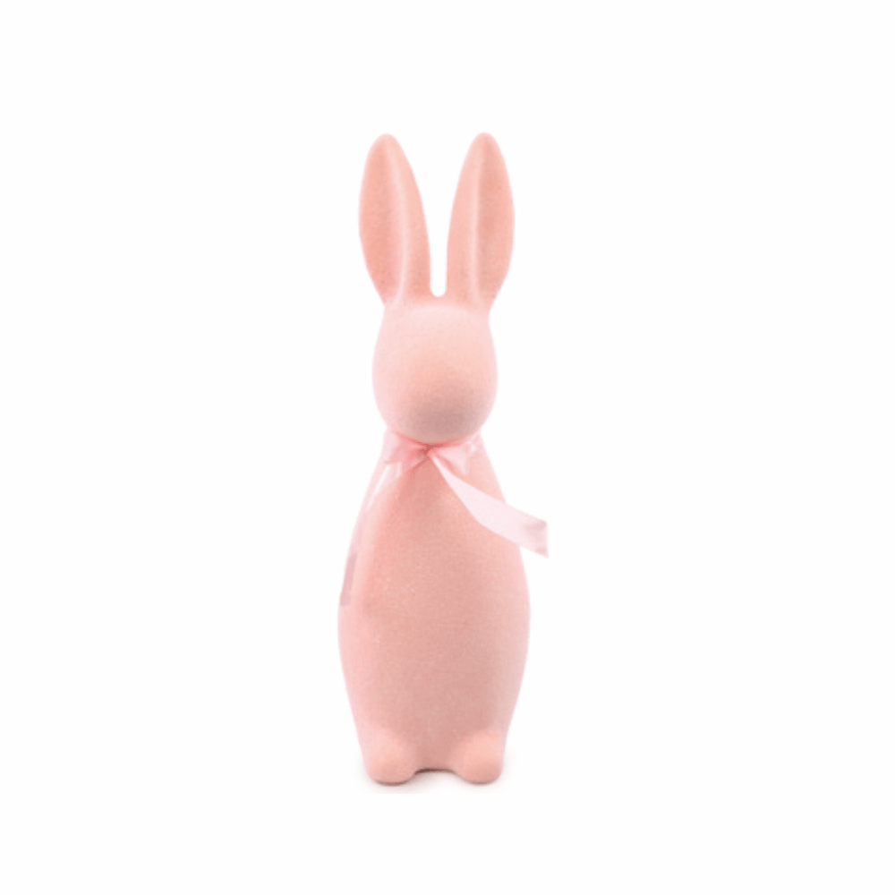 69215.png